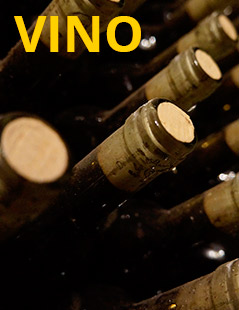 Vino - Gourmet Point
